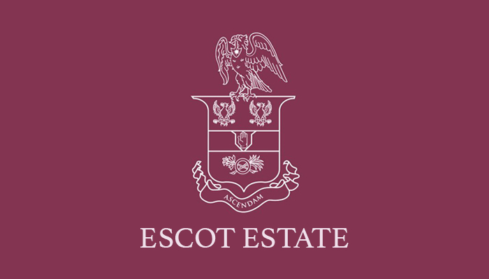 Escot Estate Wedding Confetti